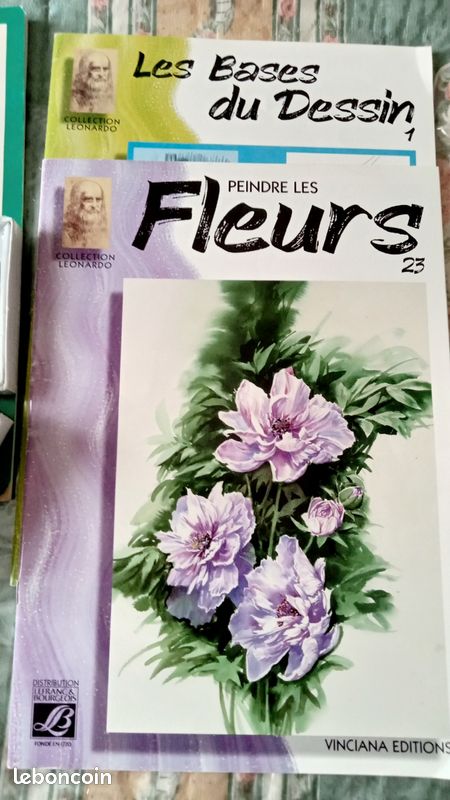 5Livres/Peindre + 24 tubes peinture (image 9)