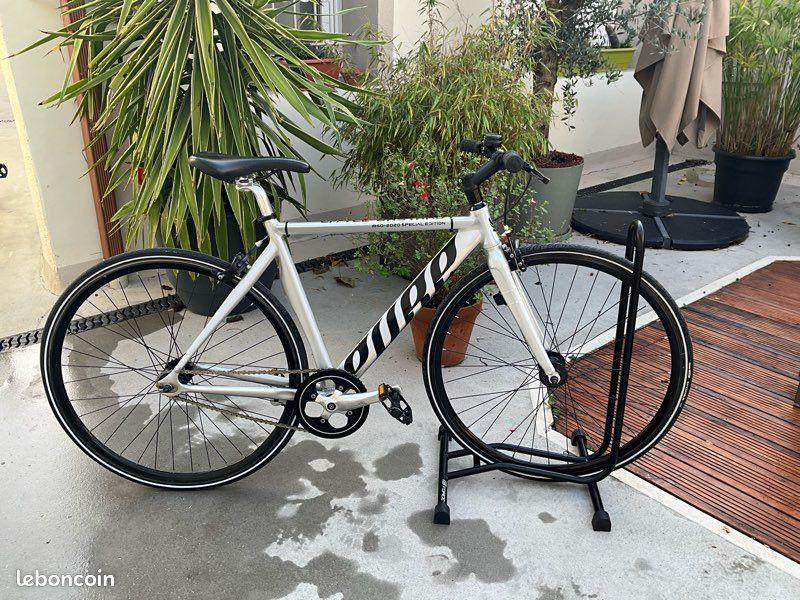Bicicletas de Pista: Guía Completa - Planet Bici