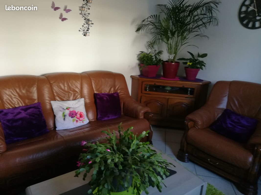 Salon cuir complet (image 1)