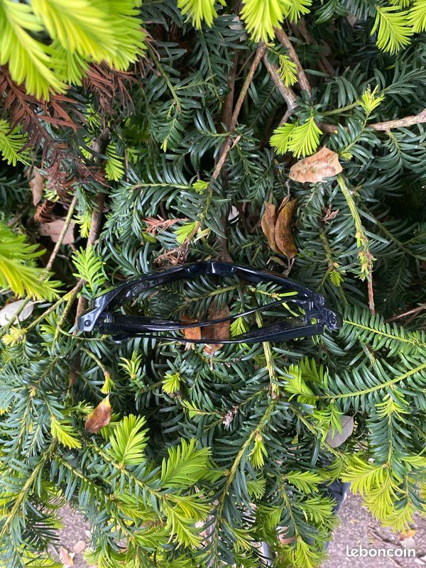 Lunette (image 5)