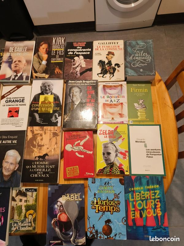 120 livres à choisir dès 5 – Kessel, Romain Gary, Agatha Christie, Fred Vargas… (image 3)