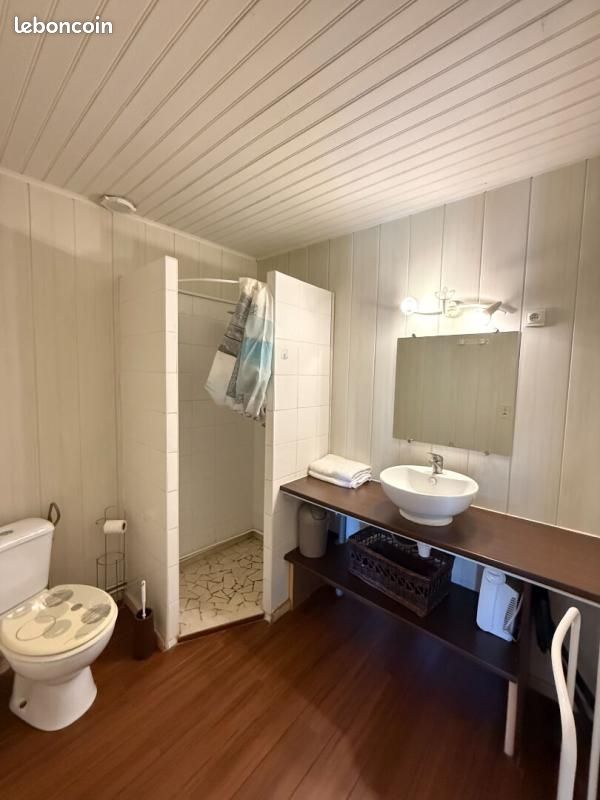 Maison 14 pièces 300 m² (image 11)