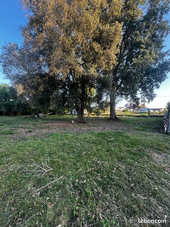 Terrain constructible