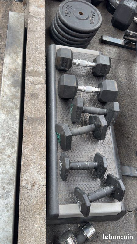 Kit Haltères Musculation avec Disques Poids Ajustable Longue