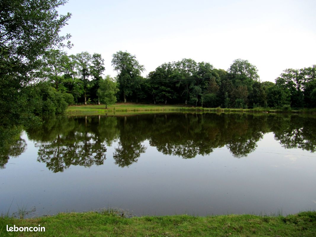 Etang à vendre · à Saint-Pardoux-le-Lac · 50 000 €