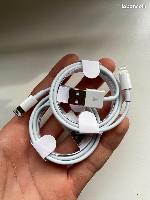 Câble Apple (image 1)