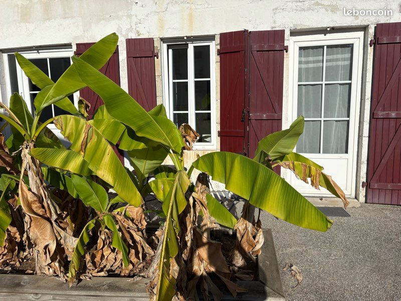 Appartement 1 pièce 20 m² · à Bayonne · 20 m² · 590 €/mois