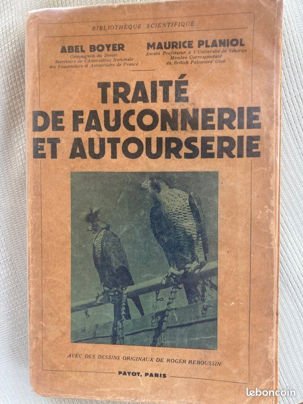 La fauconnerie, un lien ancestral entre l'homme et le rapace