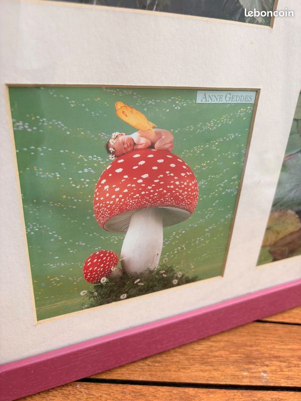 Tableau cadre pêle-mêle Anne Geddes (image 6)