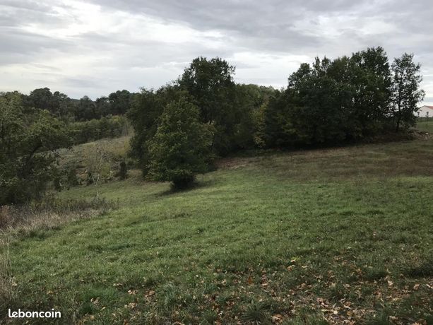 Terrain 3 000 m² Saint Andre D Allas