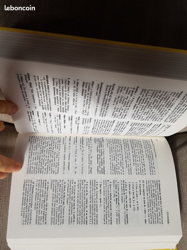 Dictionnaire Bordas des pièges et difficultés de la langue française (image 4)