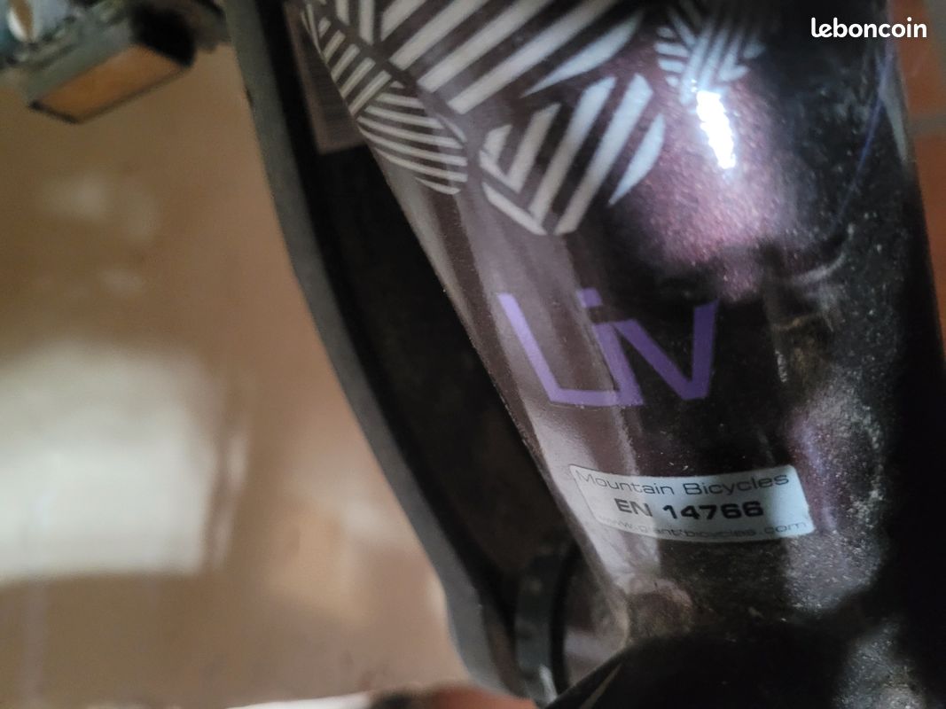 VTT giant Tempt (image 16)
