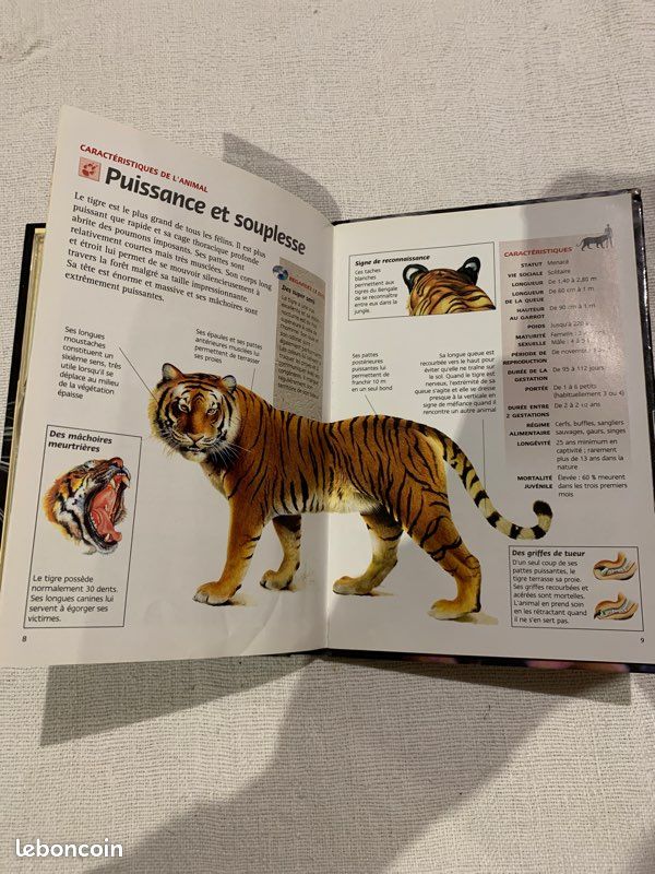 DVD livre tigre des marais (image 3)