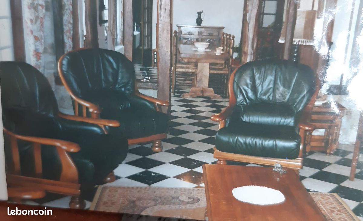 Fauteuils cuir (image 5)