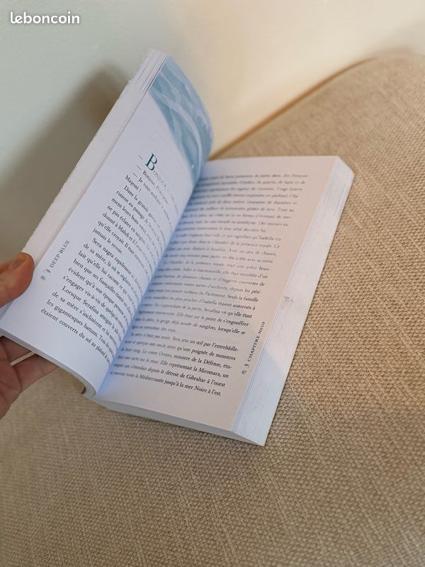 Livre Jennifer donnelly (image 4)