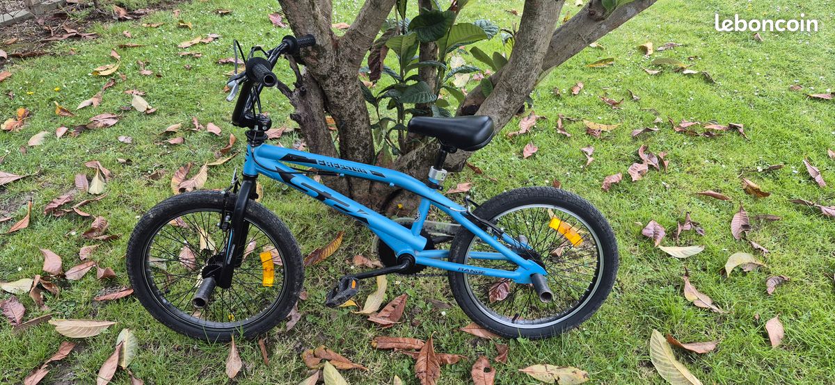 Bmx freestyle (image 1)