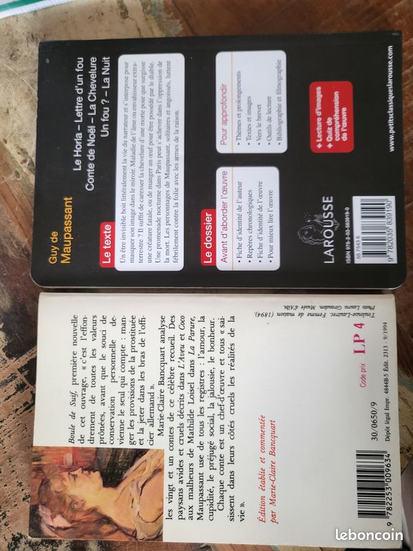 Guy de Maupassant (image 2)