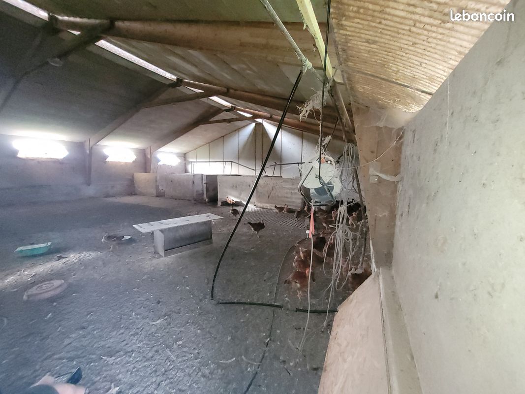 Maison 8 pièces 142 m² - Samadet 40320 (image principale 8)