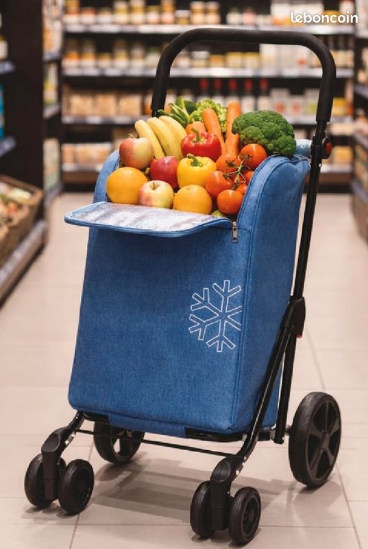 Chariot de course pliable aluminium 2 roues avec sac isotherme bleu marine VOUNOT