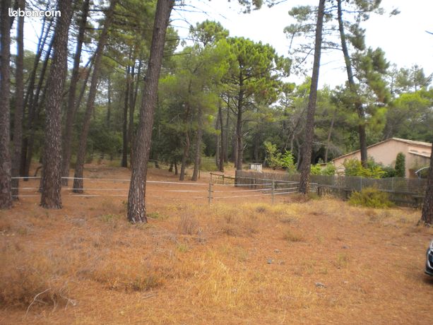 Loue terrain agricole