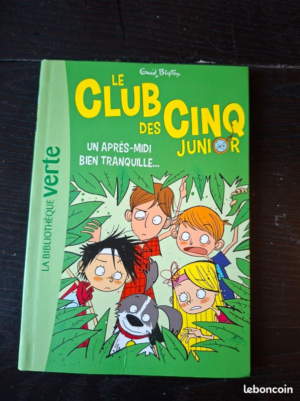 Livre club des cinq junior (image 1)