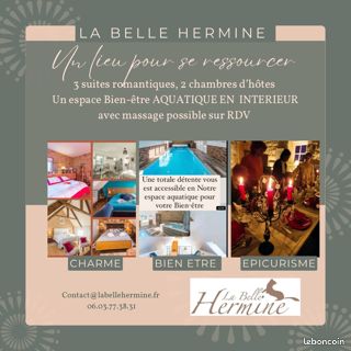 Chambre d’hôtes romantique & Espace Aquatique en Intérieur (piscine chauffée toute l'année, SPA, salle de Relaxation) (image 11)