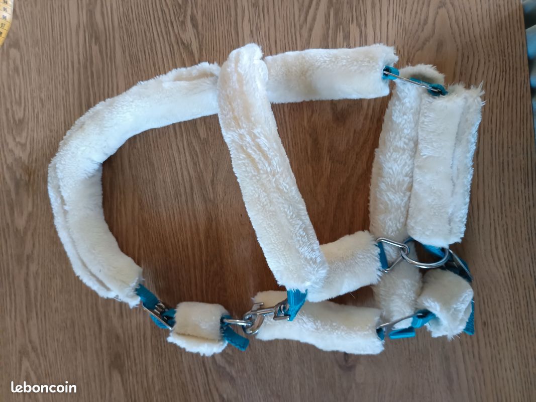 Licol taille Pony et longe équitation (image 2)
