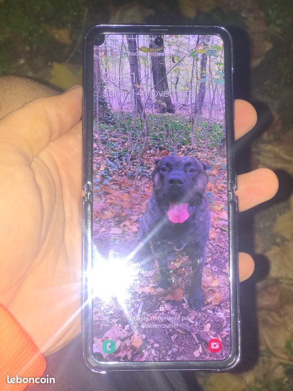 Samsung Galaxy Z Fold (image 2)