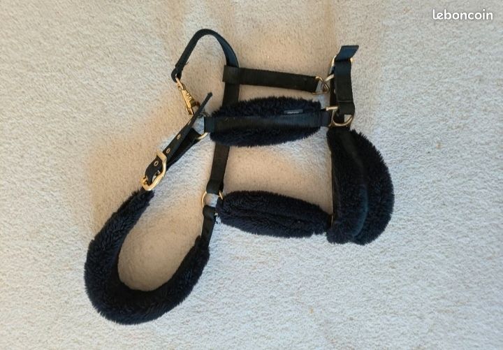 Vend Licol avec longe
Marque : fouganza
Couleur : noir et dorée
Taille : cheval (size3)
Etat : bonne état (image 2)