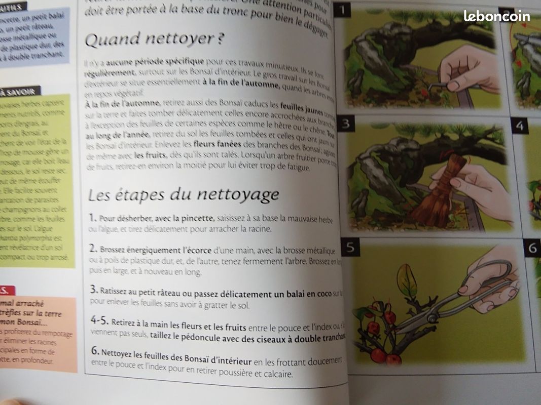 Livre Bonsaï faciles (image 3)