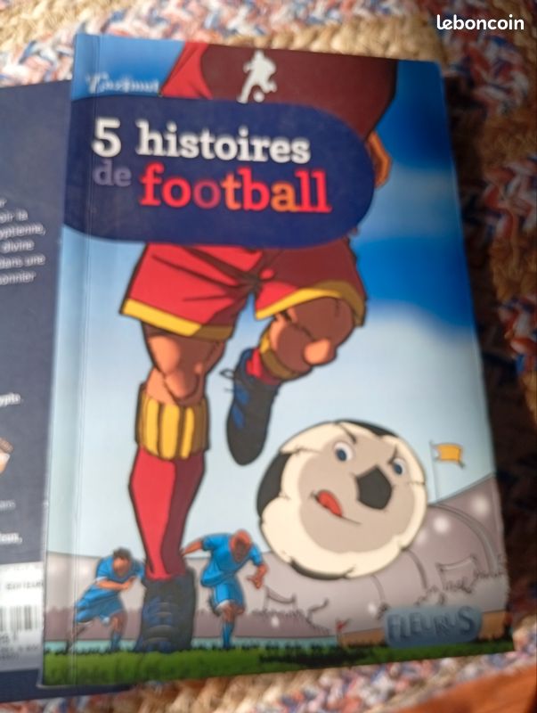 2 livres enfants des 9 ans (image 2)