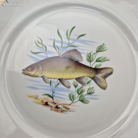 Grand Plat à Poisson En Porcelaine De Chauvigny - 56 Cm - Deshoulières 1980
