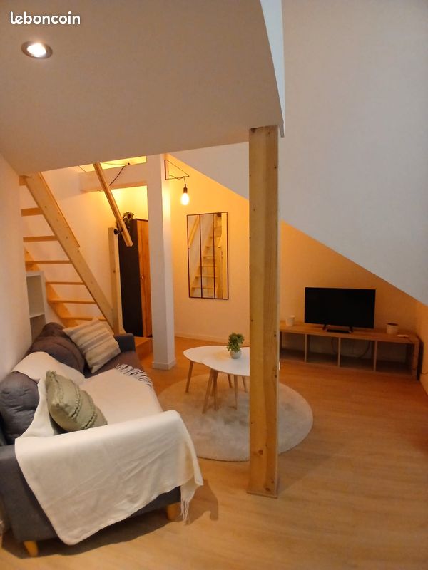 Appartement a louer oullins-pierre-benite - Surfyn