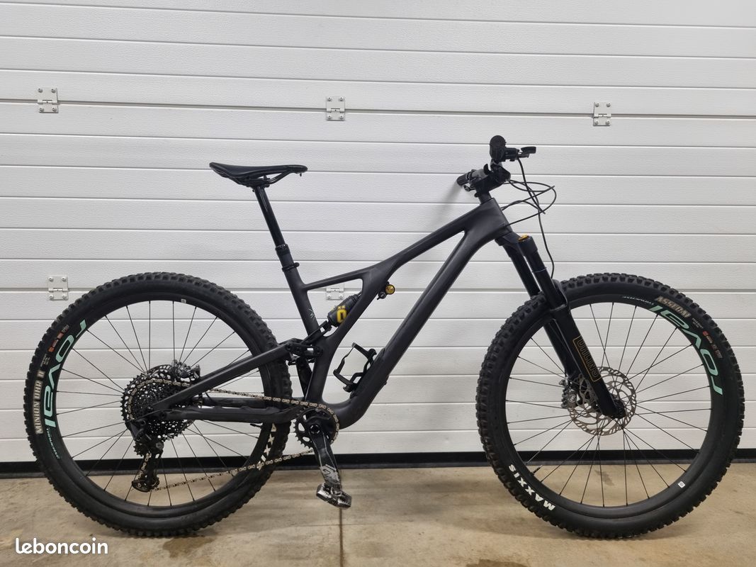 Stumpjumper evo pro (image 1)