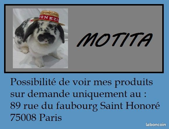 Gants De Pêche Magnétiques Anti-alde - Test Et Avis