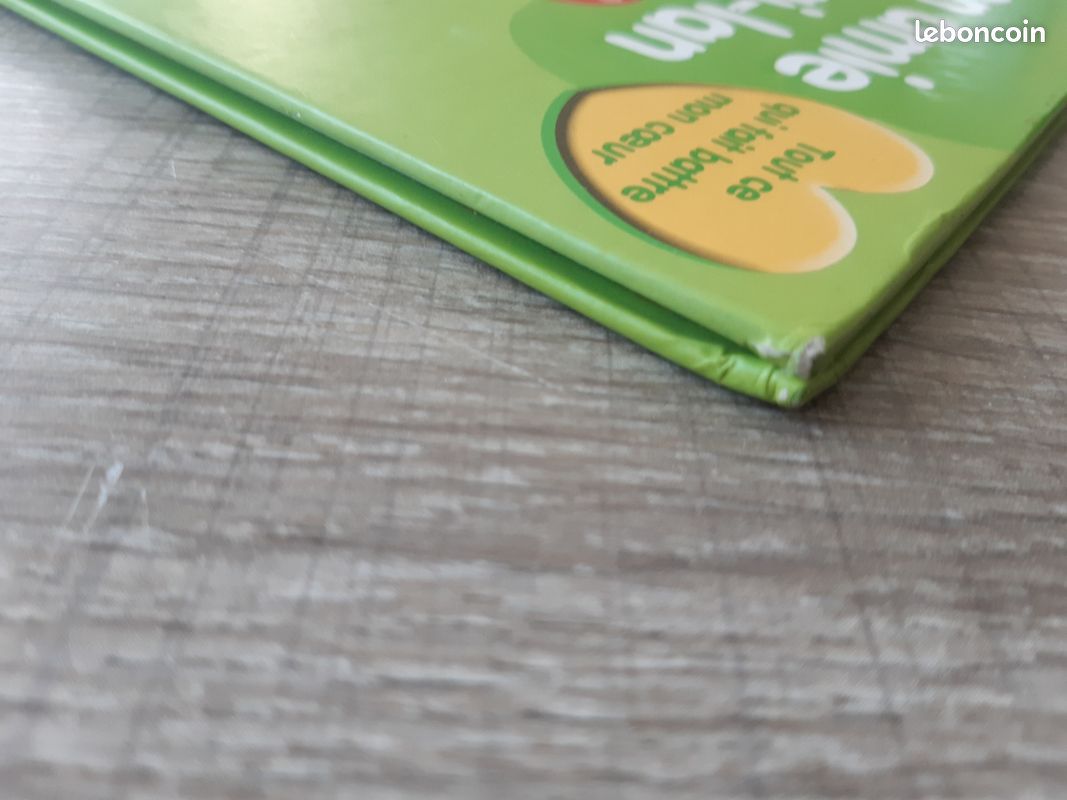 Livre " Mon amie Kai-Lan " (image 10)