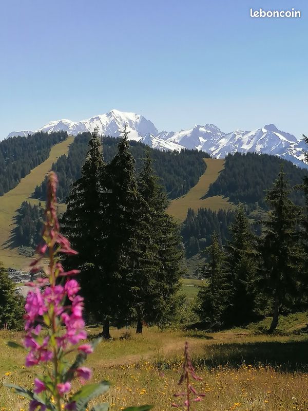Appt T3 dans les Alpes face au Mont Blanc (image 2)
