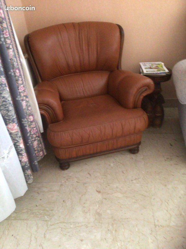 Fauteuil marron (image 1)