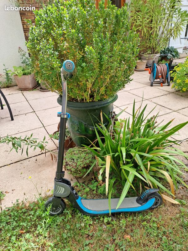 Trottinette GLOBBER (image 1)