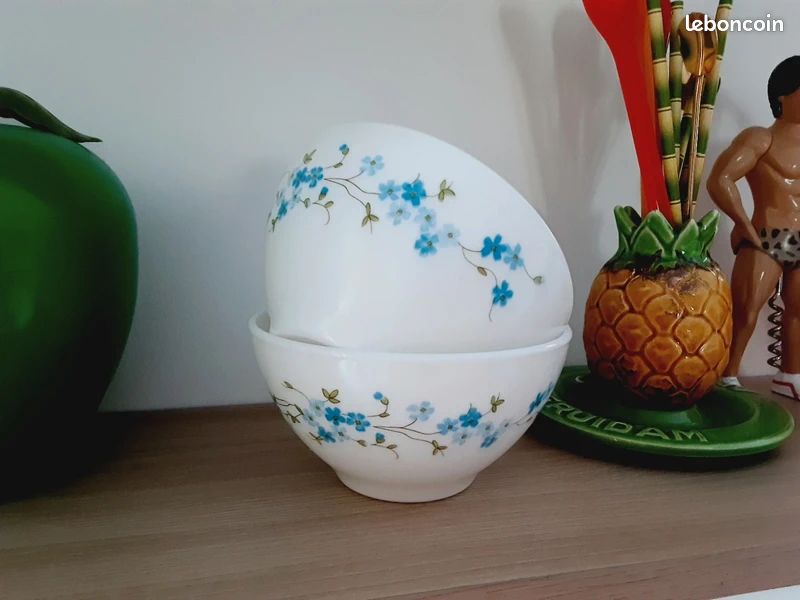 Set de 5 assiettes plate Arcopal Veronica Myosotis fleur bleu