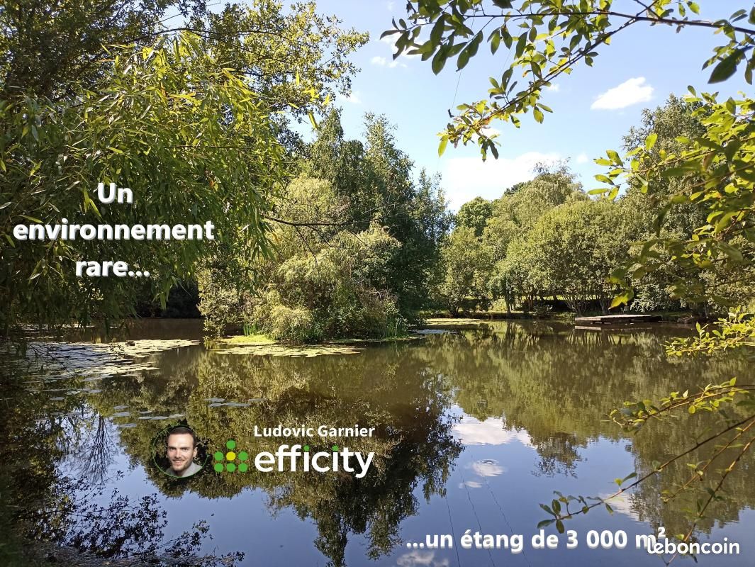 Maison 6 pièces 167 m² · à Mortain-Bocage · 167 m² · 499 900 €