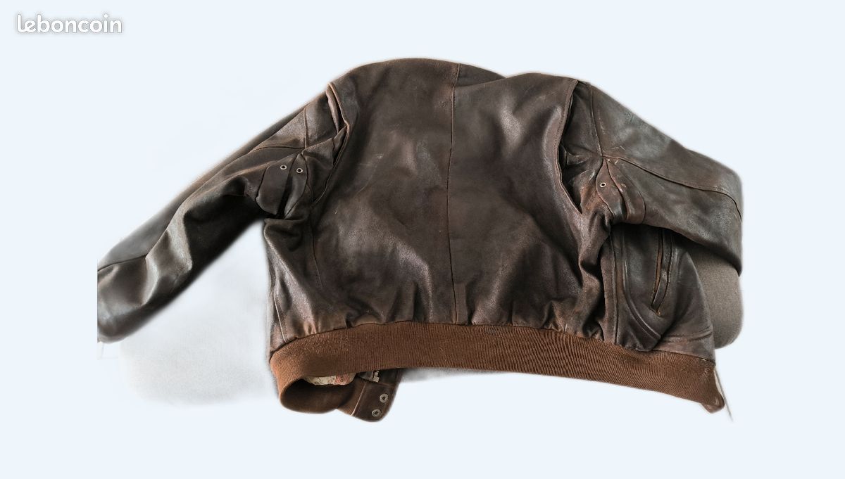 Blouson aviateur redskins (image 1)