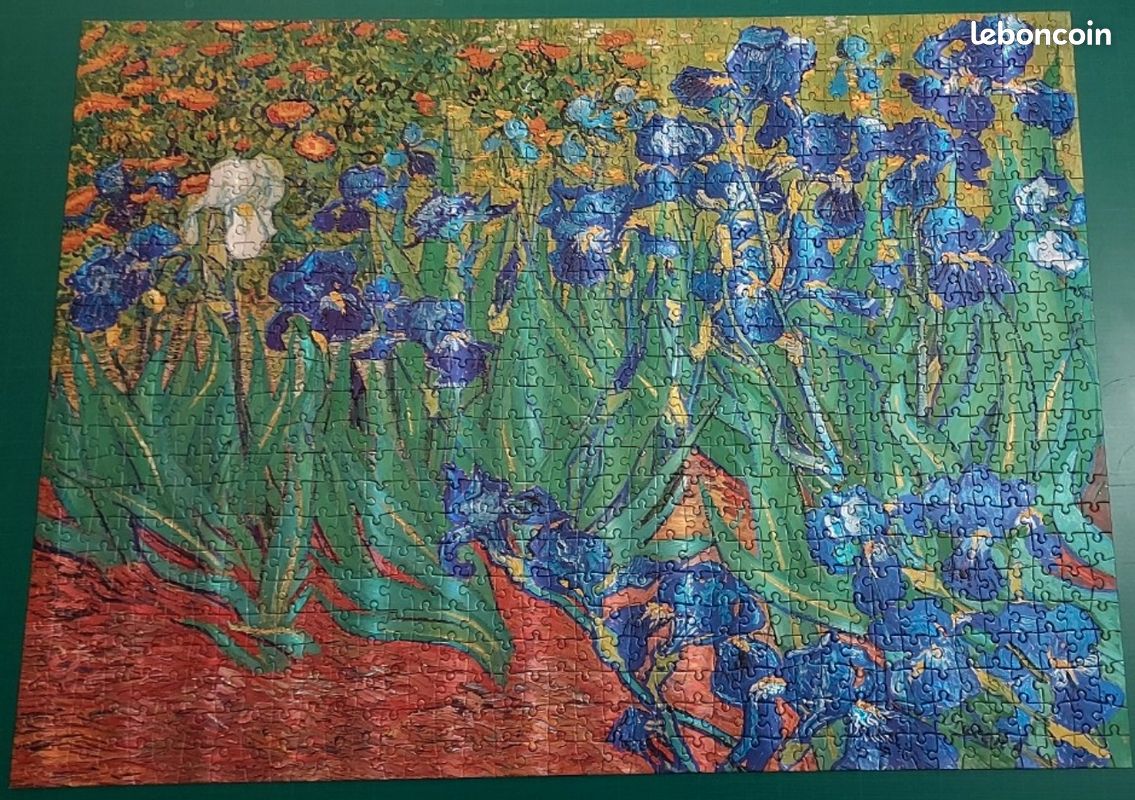 Puzzle Van Gogh - 1000 pièces -Cobble-Hill-40101