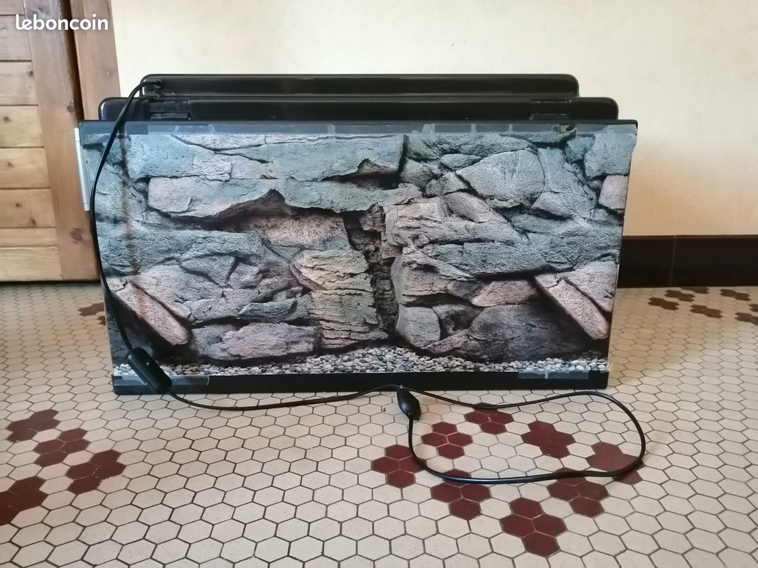 Aquarium (image 3)