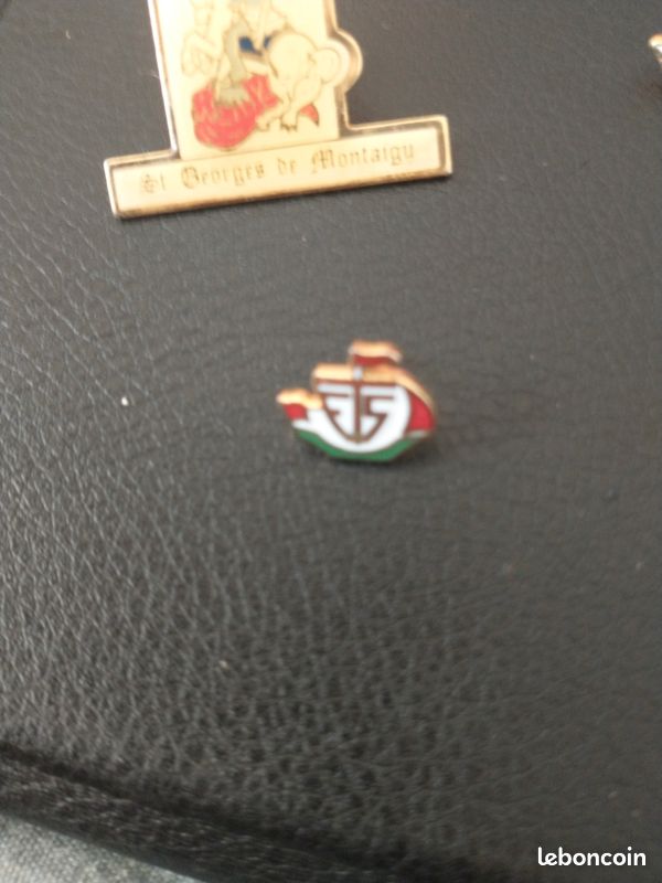 Pins rare (image 4)