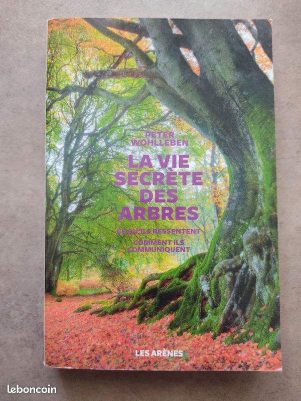 La vie secrète des arbres (image 2)