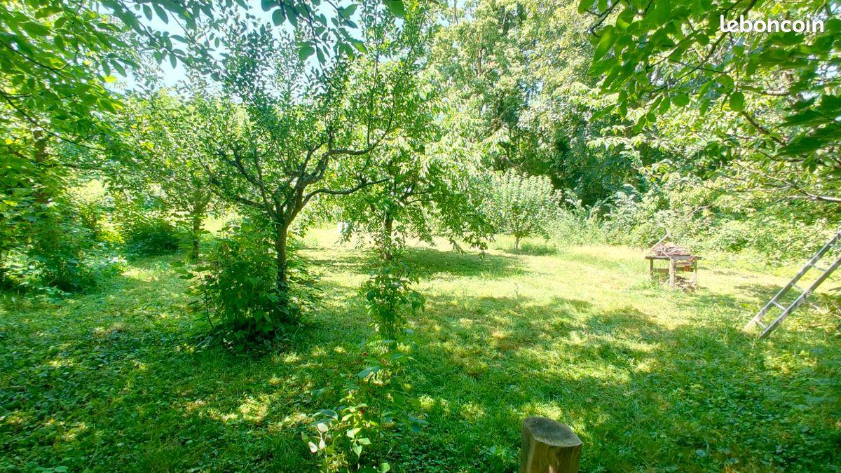 Appartement 5 pièces 125 m² · à Niederbronn-les-Bains · 125 m² · 200 000 €