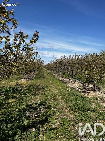 Terrain 103160 m² Salses-le-Château
