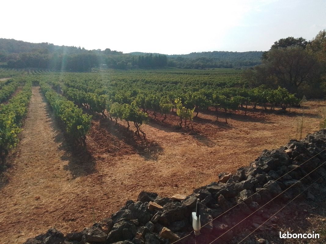 Terrain en vignes · à Flassans-sur-Issole · 20 000 €
