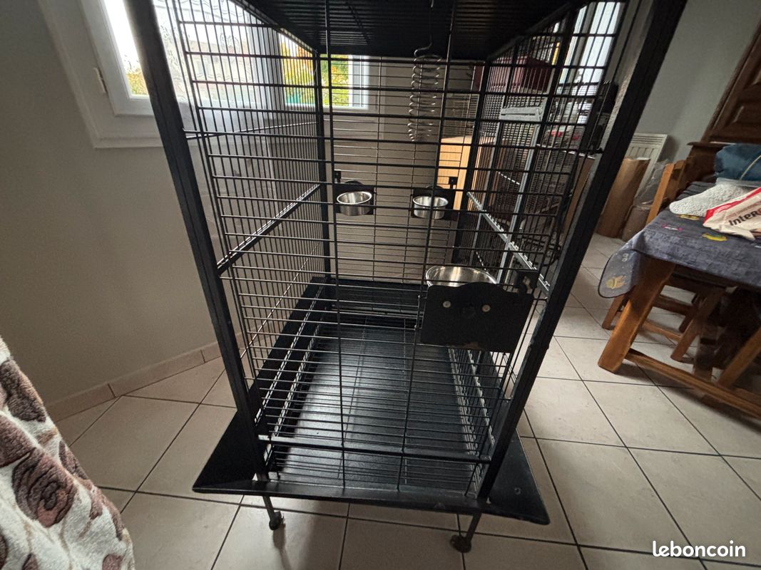 Cage oiseaux (image 3)